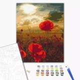 Pictura pe numere - Maci sub soarele arzator, 40x50 cm | Brushme