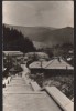 CPIB 22138 - CARTE POSTALA - BORSEC. VEDERE SPRE DEPRESIUNEA BORSECULUI, Circulata, Fotografie
