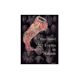 Art Forms in Nature: The Prints of Ernst Haeckel