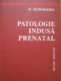 Patologie Indusa Prenatal - M. Geormaneanu ,289156