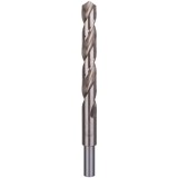 Bosch 2609255059 - Burghiu metal HSS-G 13x101x151 mm