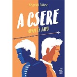A csere - Adam &eacute;s David - N&oacute;gr&aacute;di G&aacute;bor