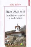 AS - MIREL BANICA - INTRE DOUA LUMI