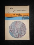 Mihai C. Bacescu - Acolo unde Sahara dispare in ocean