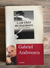 Gabriel Andreescu - L-am Urat pe Ceausescu foto