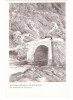 3724 - TURNU-ROSU, Sibiu, Bridge, cart - old postcard - unused, Necirculata, Printata