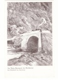 3724 - TURNU-ROSU, Sibiu, Bridge, cart - old postcard - unused