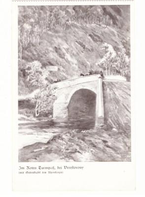 3724 - TURNU-ROSU, Sibiu, Bridge, cart - old postcard - unused foto