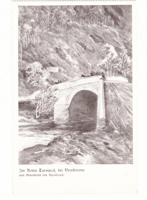 3724 - TURNU-ROSU, Sibiu, Bridge, cart - old postcard - unused