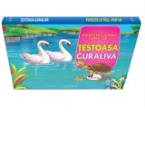 Poveste cu talc POP-UP. Testoasa guraliva