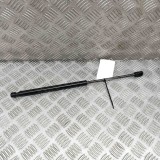Amortizor capota st&acirc;nga față FORD USA Mustang Mach-E 2022 OEM: LJ8B-R16C827-AB 22749520