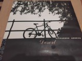 Disc vinil Alexandru Andries - Desert