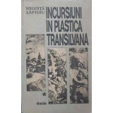 INCURSIUNI IN PLASTICA TRANSILVANA-NEGOITA LAPTOIU-226755