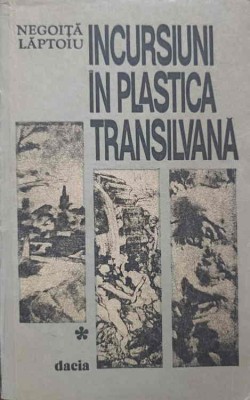 INCURSIUNI IN PLASTICA TRANSILVANA-NEGOITA LAPTOIU-226755 foto