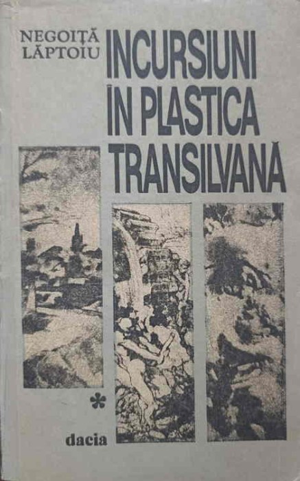 INCURSIUNI IN PLASTICA TRANSILVANA-NEGOITA LAPTOIU-226755