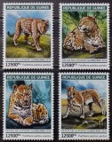 BC117, Guineea 2019, serie fauna, pantere