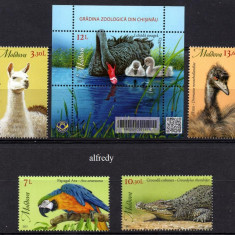 MOLDOVA 2023, Fauna, serie neuzata, MNH