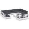 Set mobilier gradina cu perne, 12 piese, alb, lemn masiv pin
