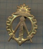 Y 1513 INSIGNA- MILITARA -SEMN DE ARMA -INGINER GENIU -PENTRU COLECTIONARI