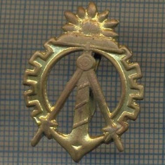 Y 1513 INSIGNA- MILITARA -SEMN DE ARMA -INGINER GENIU -PENTRU COLECTIONARI