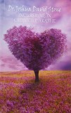 Incursiune in cronicile Akashe. Compilatie - Dr. Joshua David Stone