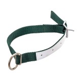 Colier pentru oi, verde, 60&nbsp;cm