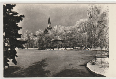 Bucuresti - Vedere din Parcul Libertatii , RPR , necirculata foto