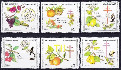 DB1 Fructe Flori 100 Ani descoperire Bacilul TBC Yemen 1982 6 v. MNH foto