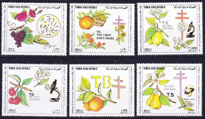 DB1 Fructe Flori 100 Ani descoperire Bacilul TBC Yemen 1982 6 v. MNH