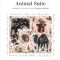 Animal Suite