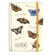 Agenda Fluturi, Fridolin