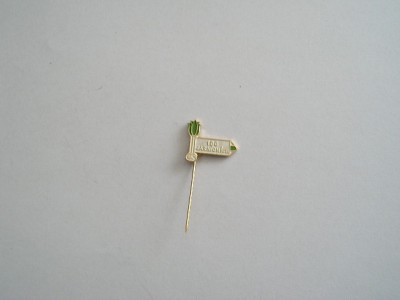 QW9 N4 15 - insigna - inscriptia 100 JARNICH KM foto