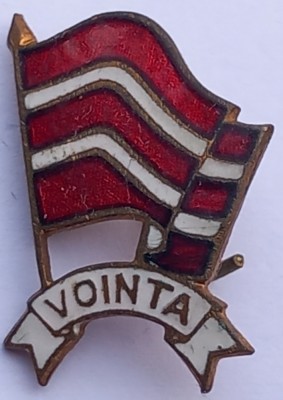 Insigna fotbal Voința foto