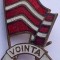 Insigna fotbal Voința