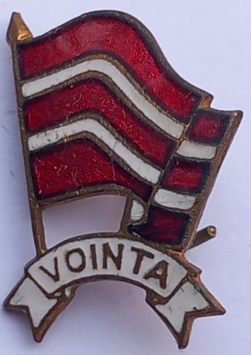Insigna fotbal Voința