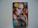 Capcana - Sandra Brown, Litera