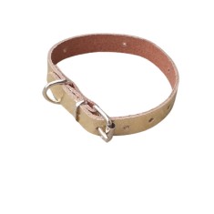 Zgarda aurie piele naturala, pentru caini mici, 35 x 1,5 cm