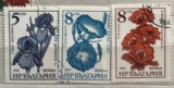(B ) Timbre serii Straine Flori Flora Struguri, Stampilat