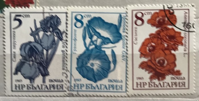 (B ) Timbre serii Straine Flori Flora Struguri