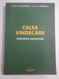 CALEA VINDECARII PRINCIPIILE NOOGENIEI - Pavel Chirila &amp; Ilie Badescu