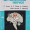 Parazitoze ale sistemului nervos - 1981 - C. Arseni (S280)