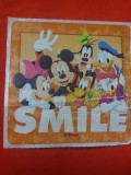 Autocolante cu z&acirc;mbet Sherman Dental Disney.cartonase tip autocolant disney=lot autocolante in stare conform foto