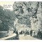 1441 - ORSOVA, Danube Kazan, Romania - old postcard - unused