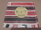 Disc vinil Remus Bistrita - taragot