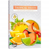 Set 6 pastile lumanari parfumate bispol - tropical fruits, Stonemania Bijou