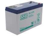 Baterie Plumb-Acid 12V 9Ah AGM Fără &Icirc;ntreținere
