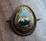 QW14 - Emblema militara / cuc - mica - uscat - comunism - piesa de colectie
