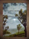 Orizonturi tulburi- Vasile Filip