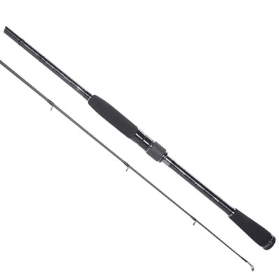Lanseta RTB Fortezza X-Fast, 2.10m ,2-10g, 2 seg foto