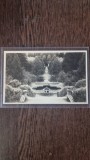 Carte Postala - Sibiu. Parcul Sanatoriului Brukenthal